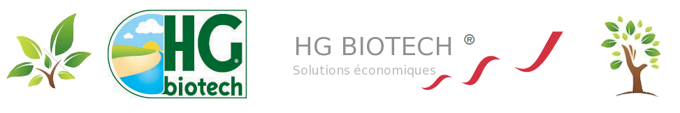 HG BIOTECH